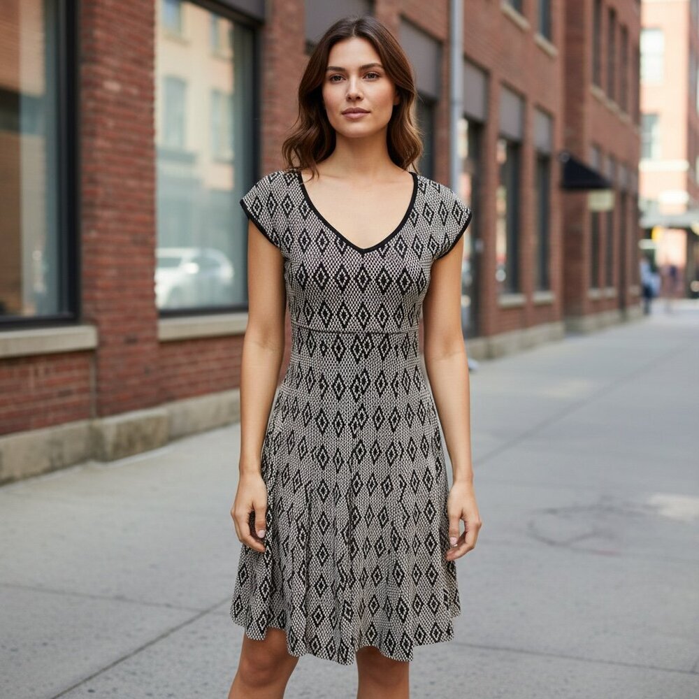 Taylor Fit-and-Flare‎ Dress Geometric Pattern Sz 4 Black White #191A